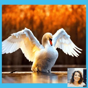 Swans School Pro